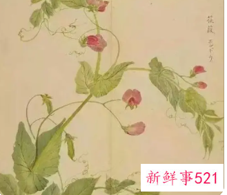 诗经取名字