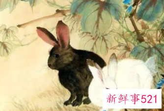 属猴背后小人是谁