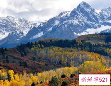 一叫就占便宜的网名
