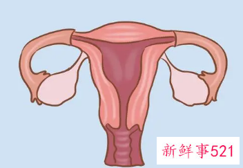 姨妈规律的两个月来一次