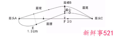 纸上眉毛教画一步一步标准眉