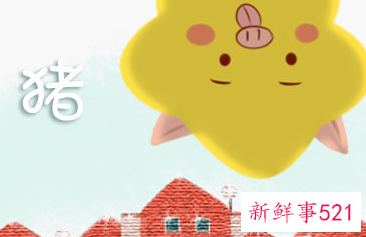 属猪腊月出生寿命短