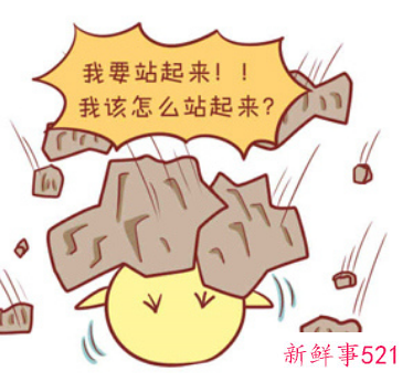 属鸡的跟属鸡婚配好不好