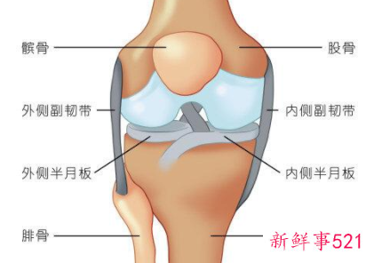 半月板损伤民间老偏方