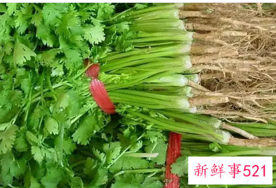 蔬菜价格大涨是怎么回事