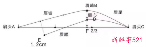 纸上眉毛教画一步一步标准眉