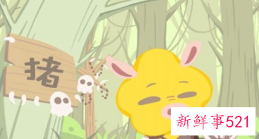 属鸡和属猪的合不合婚姻