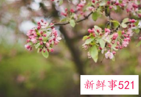 不会抛弃老婆的星座男