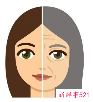 我开始恐惧衰老和愚钝