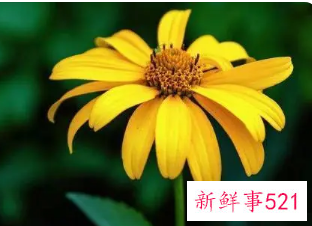 聚财网名女性