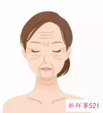 我开始恐惧衰老和愚钝