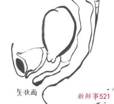 开背按摩流程步骤