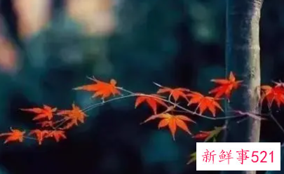 表达缘分已尽的句子