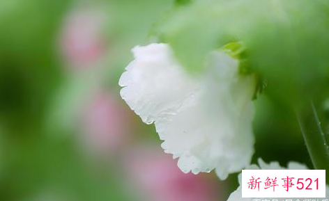 连小人都惧怕的星座