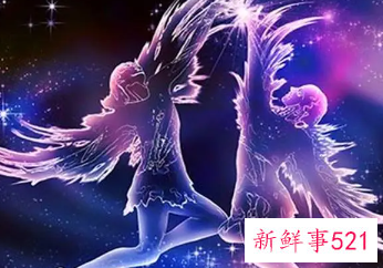 双子座养什么花