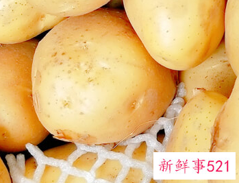 运动员靠什么补充体力