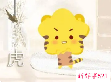 11月份虎宝宝名字