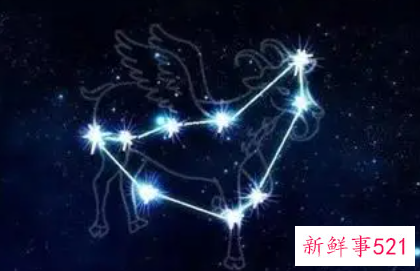 属蛇的摩羯男