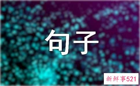 表达真情实感的句子