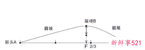 纸上眉毛教画一步一步标准眉