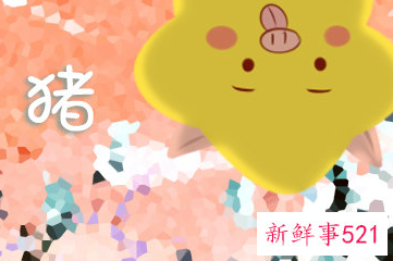 属猪腊月出生寿命短