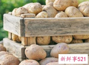 运动员靠什么补充体力