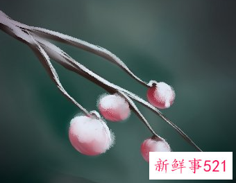 巨蟹男对情人对老婆差别