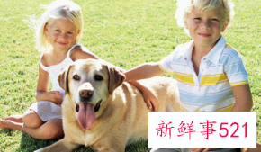 生肖狗6月运势
