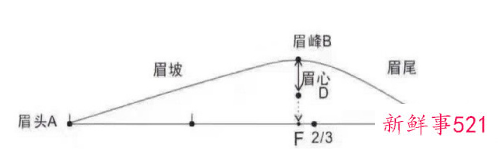 纸上眉毛教画一步一步标准眉
