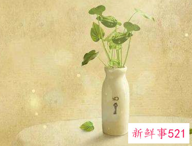 让对方看见暖心的句子