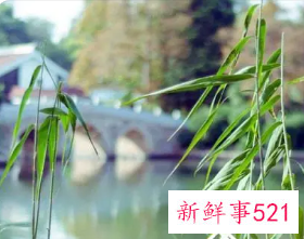聚财网名女性