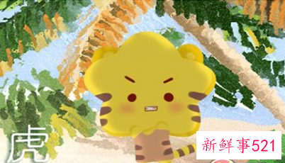 属虎和属猴的婚姻