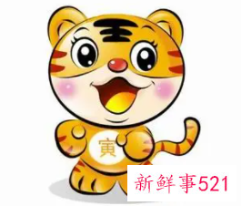 属虎和属猪的结合好不好