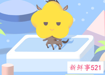 属马的女人戴什么旺财