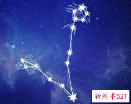 双鱼座的企业家有哪些