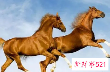 1990年属马开公司起啥名字