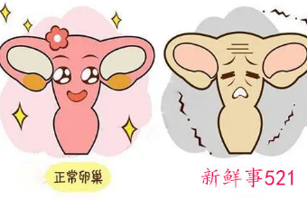 怎样能看出卵巢衰老