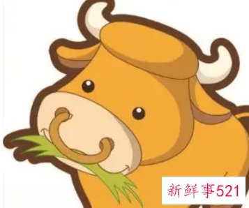 属牛女人床上爱你的表现