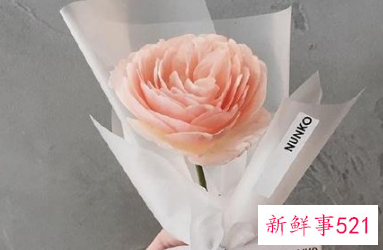 能感动女朋友哭的情书