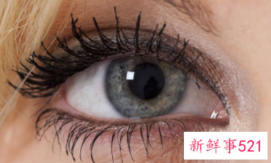 双眼皮遗传规律表