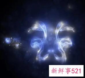 双子座养什么花