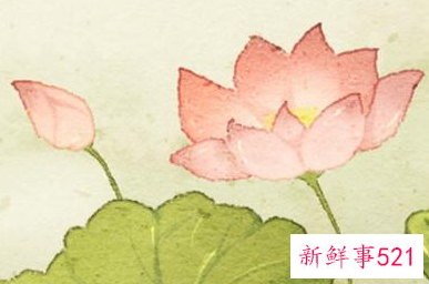免费测个人婚姻不付费