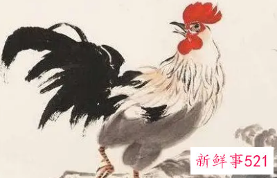 心眼最多是什么生肖