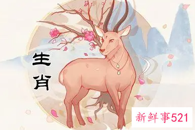 属羊男2022年的运势如何