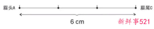 纸上眉毛教画一步一步标准眉