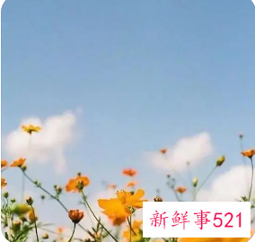 余生的句子唯美短句