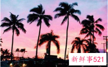 告白的情话英文