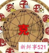 十二生肖最佳配对有哪些