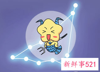 能力强头脑精明的星座