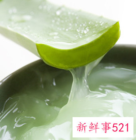 芦荟的功效和作用有哪些